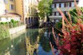 39 COLMAR